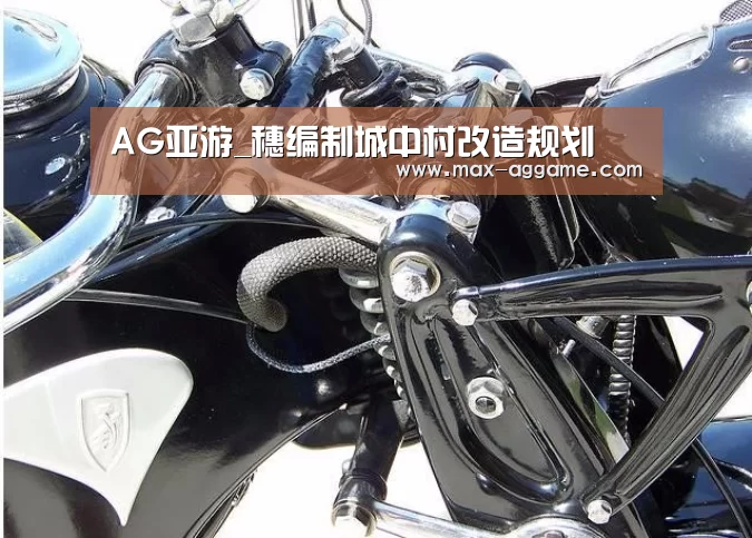 AG真人官方